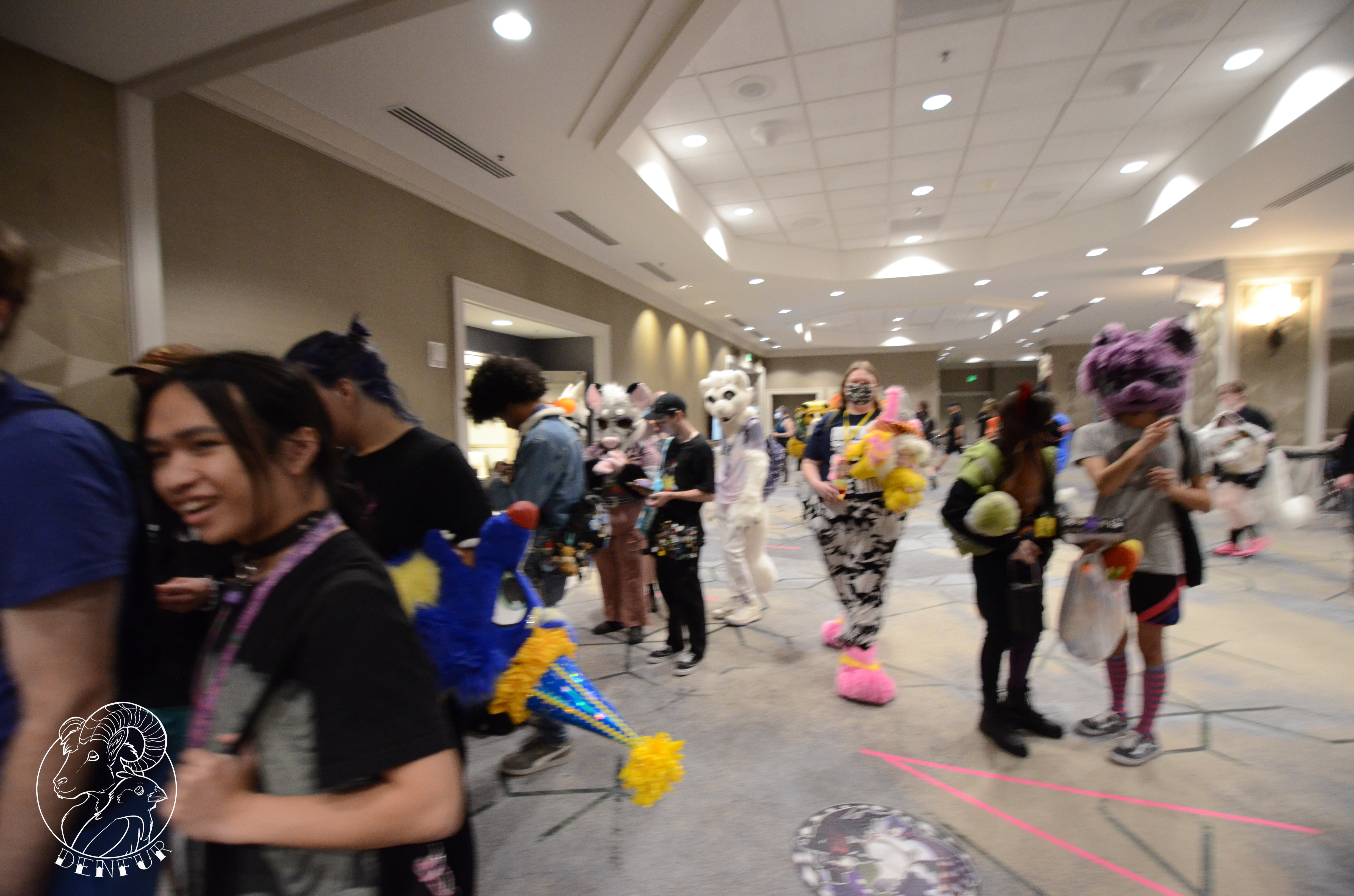 2026 - Feline Playtime Panel