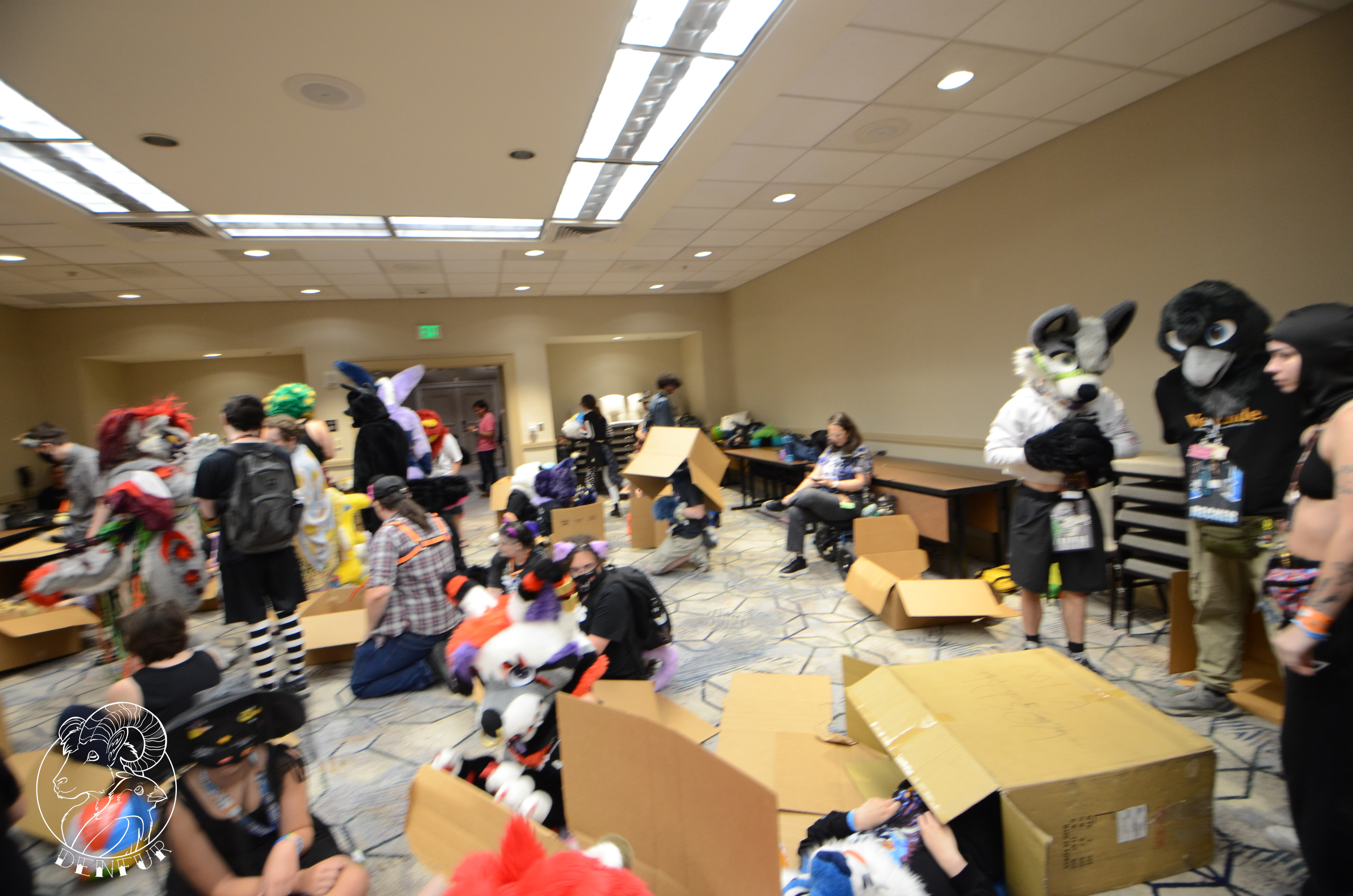 2026 - Feline Playtime Panel