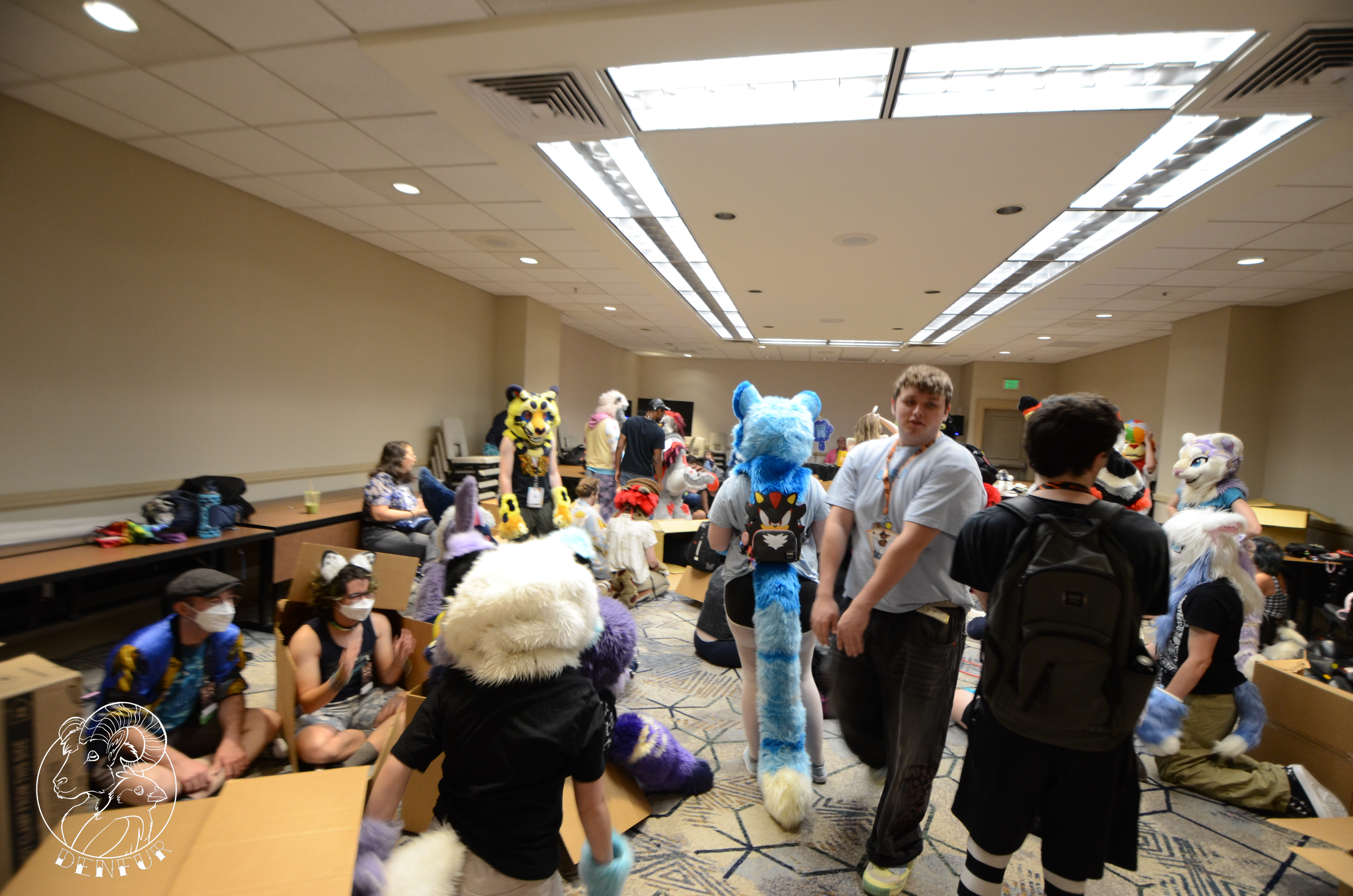 2026 - Feline Playtime Panel