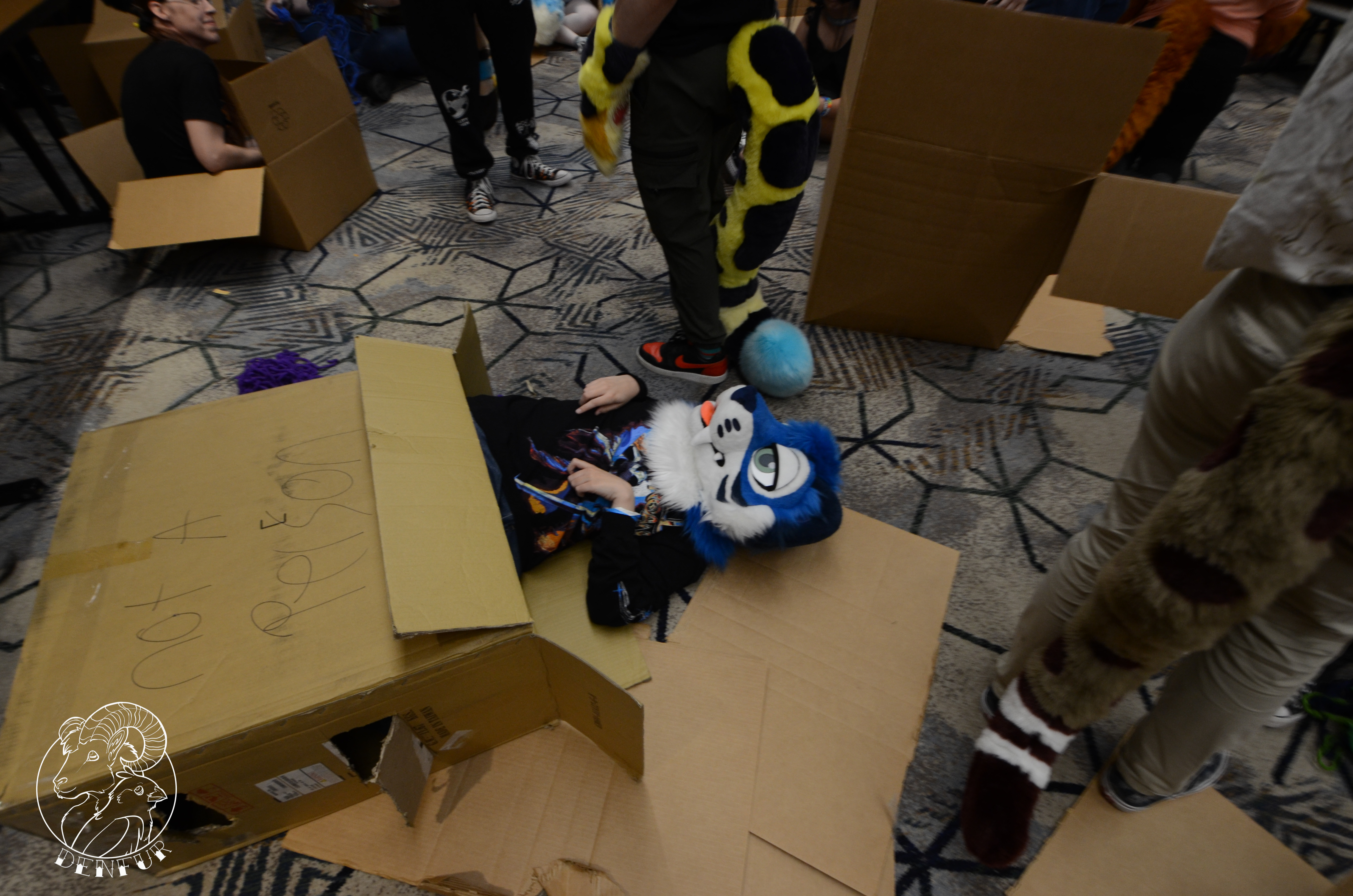2026 - Feline Playtime Panel