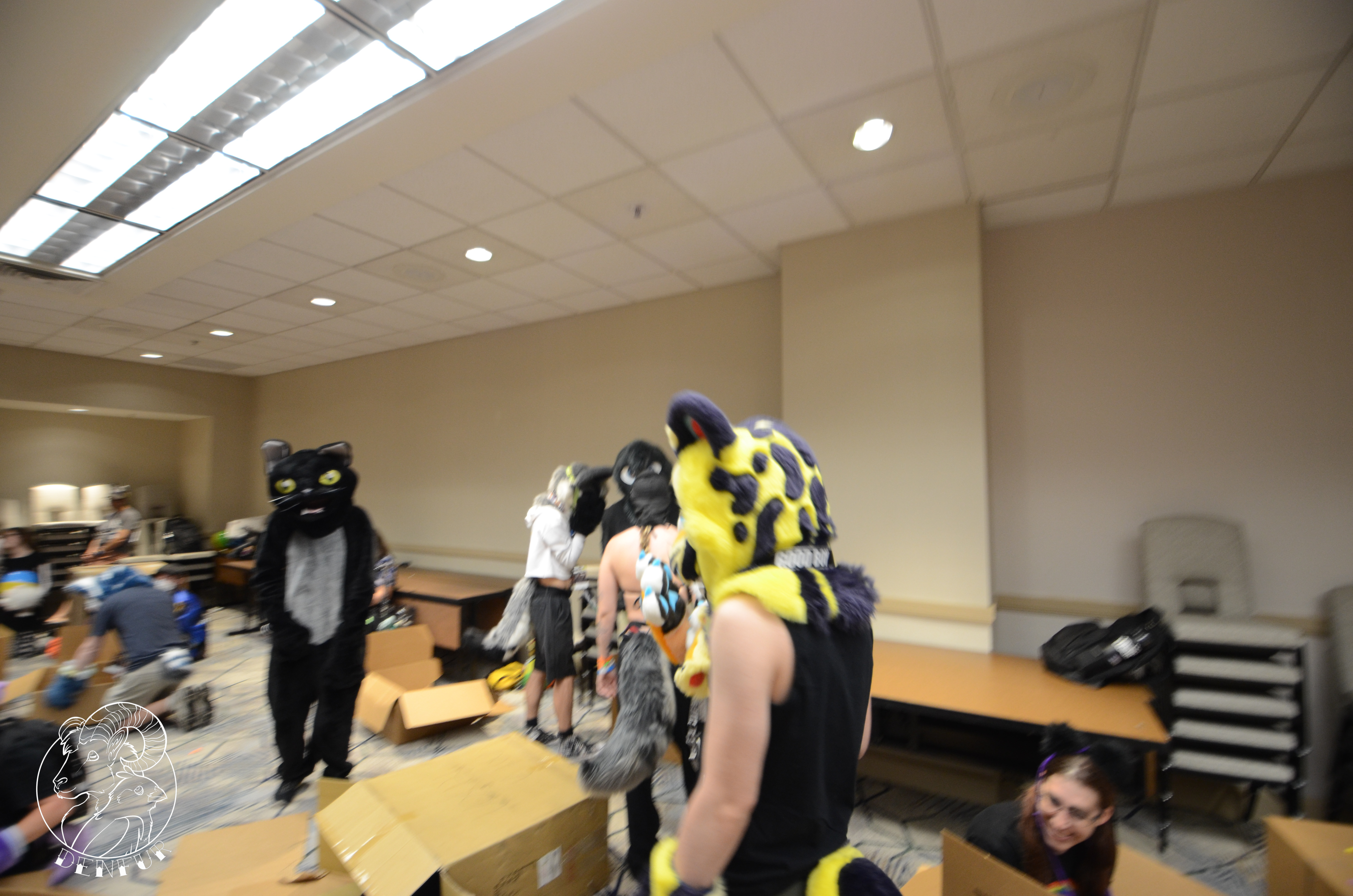 2026 - Feline Playtime Panel