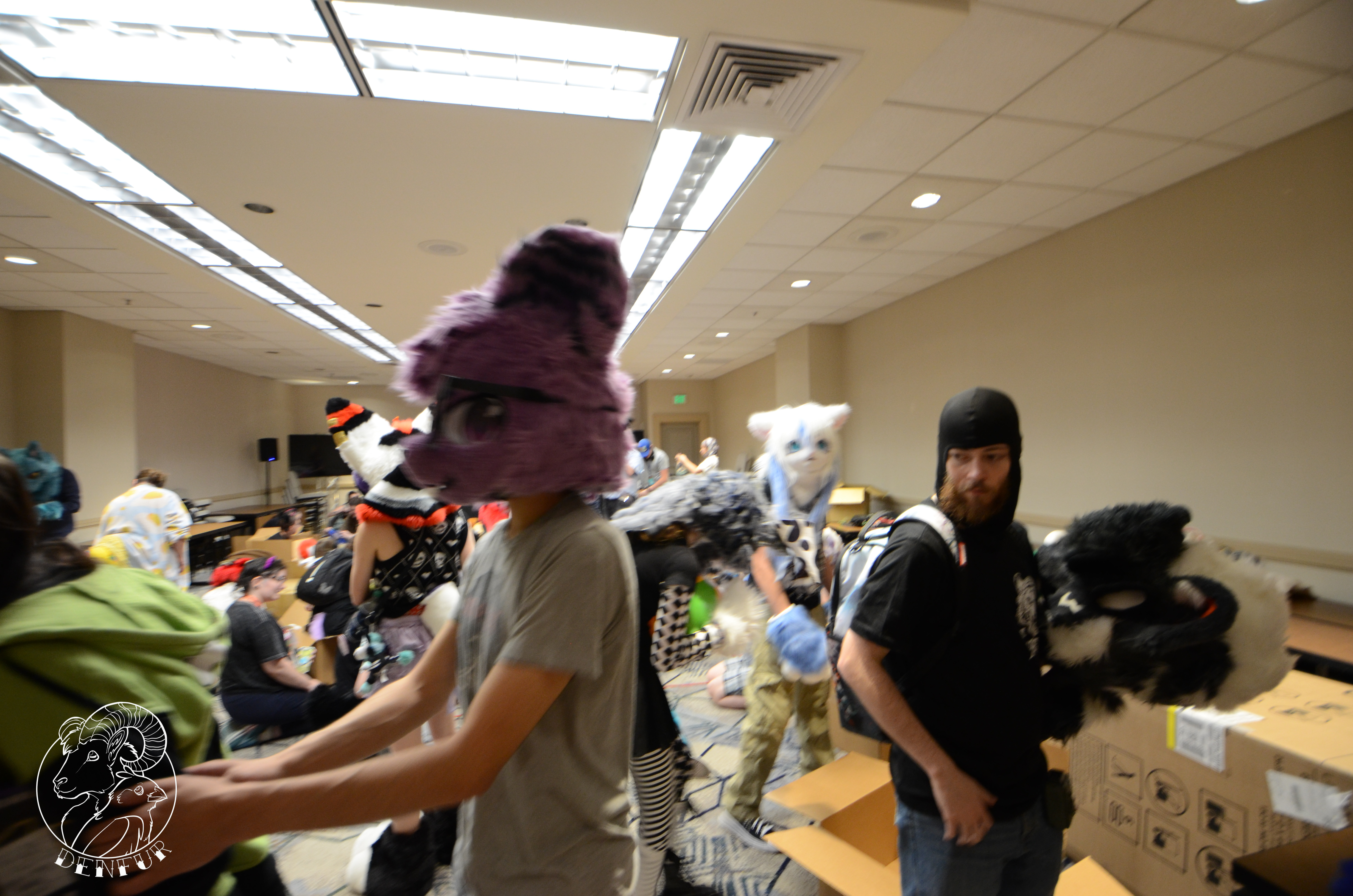 2026 - Feline Playtime Panel
