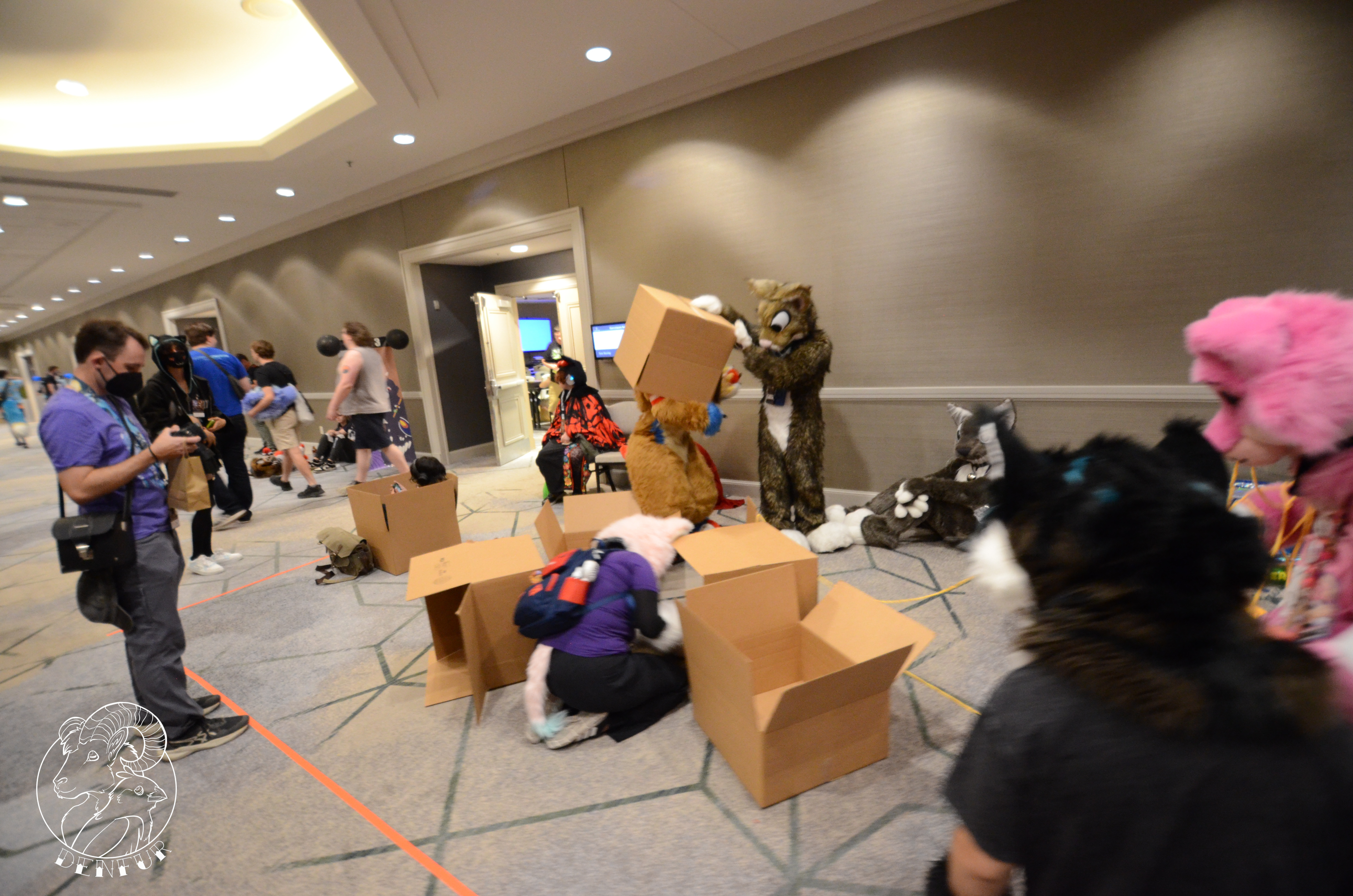 2026 - Feline Playtime Panel