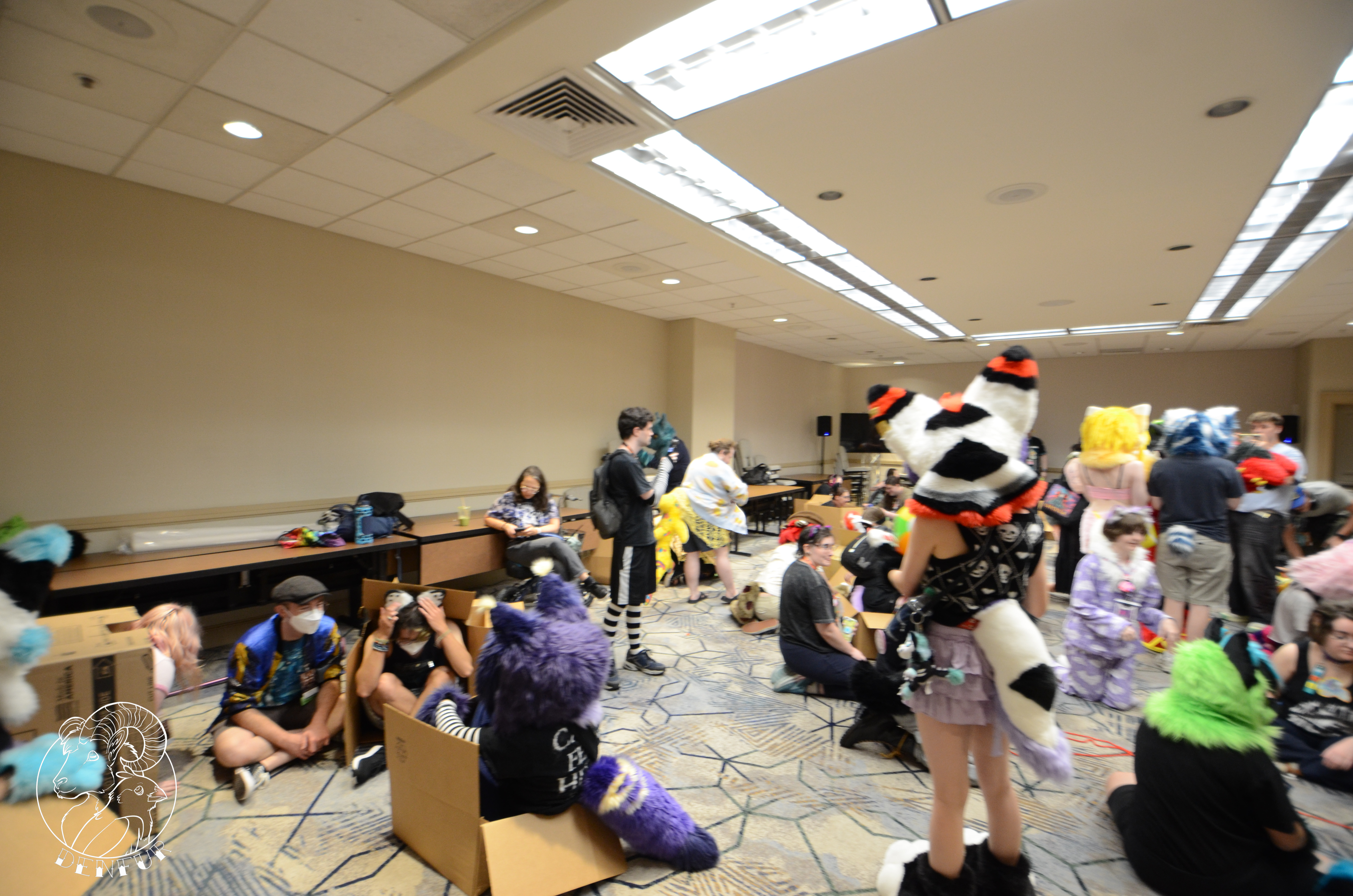2026 - Feline Playtime Panel