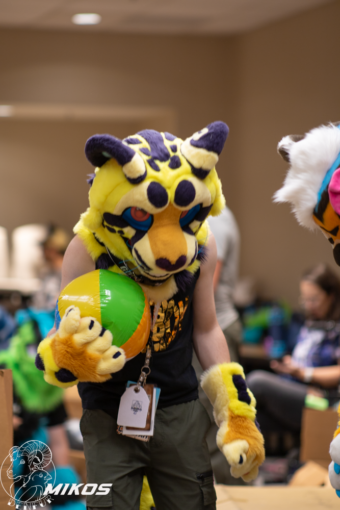 2026 - Feline Playtime Panel