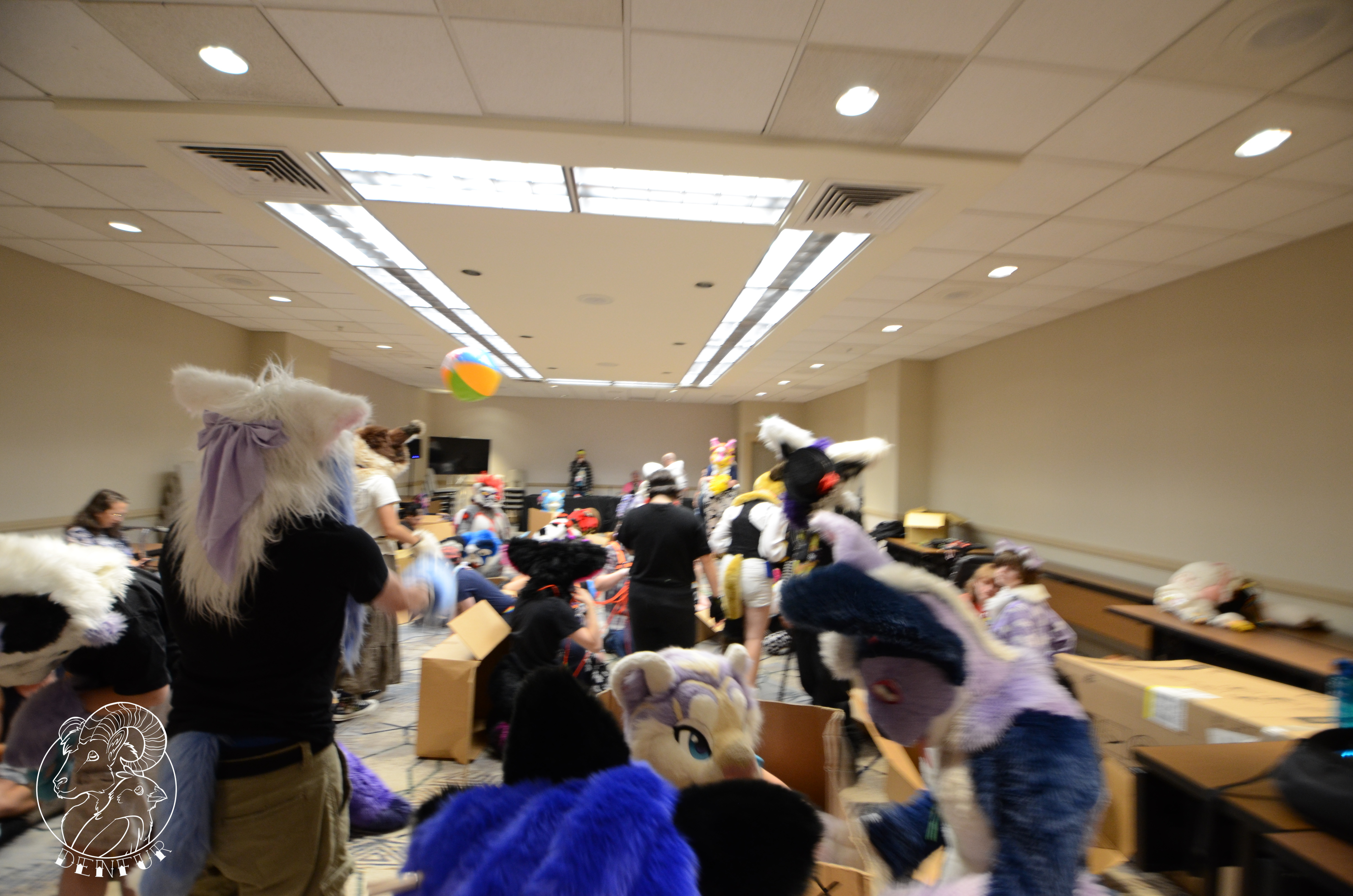 2026 - Feline Playtime Panel