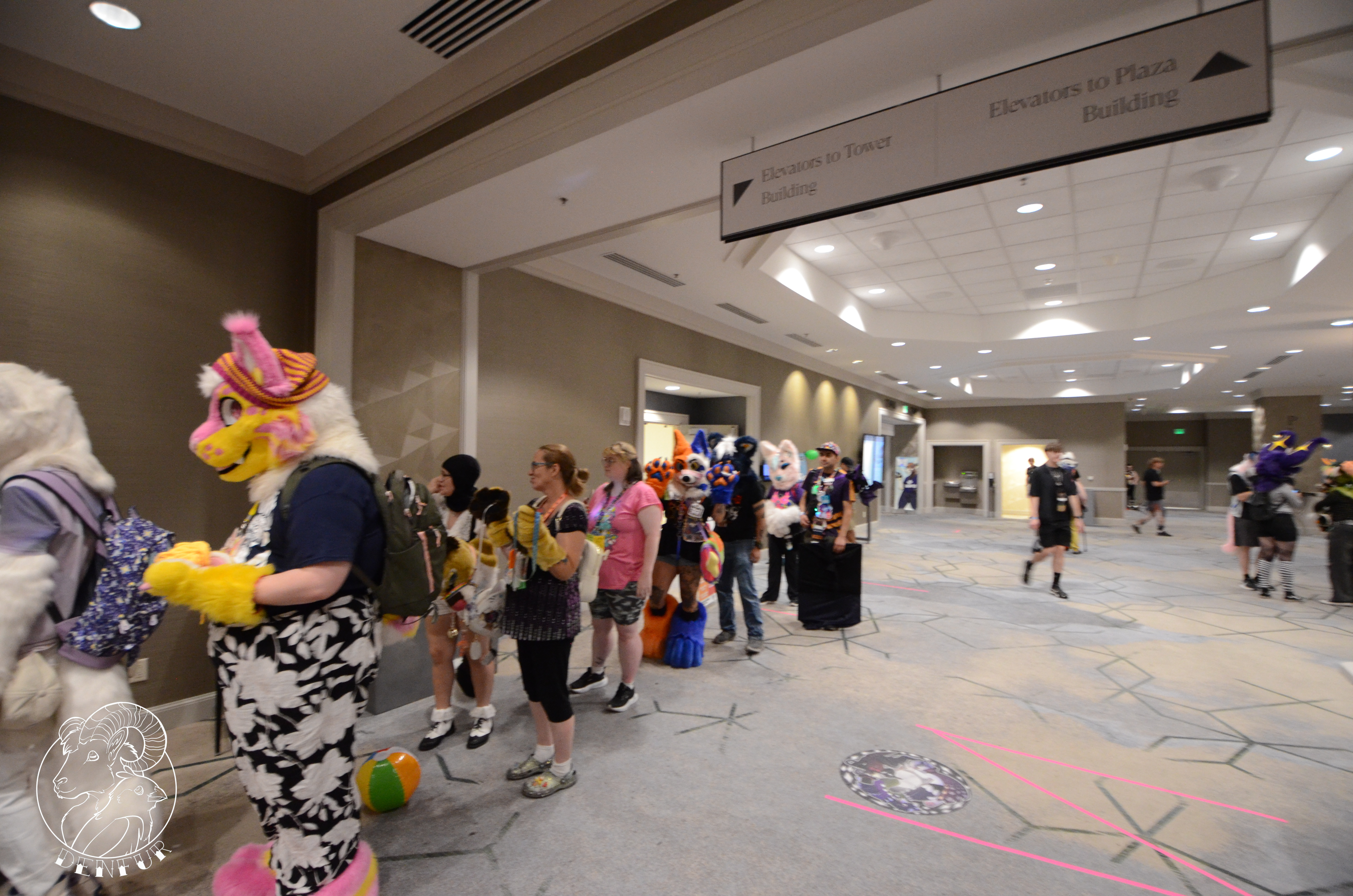 2026 - Feline Playtime Panel