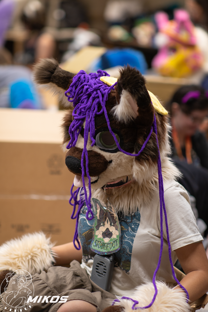 2026 - Feline Playtime Panel
