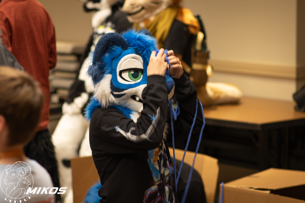 2026 - Feline Playtime Panel