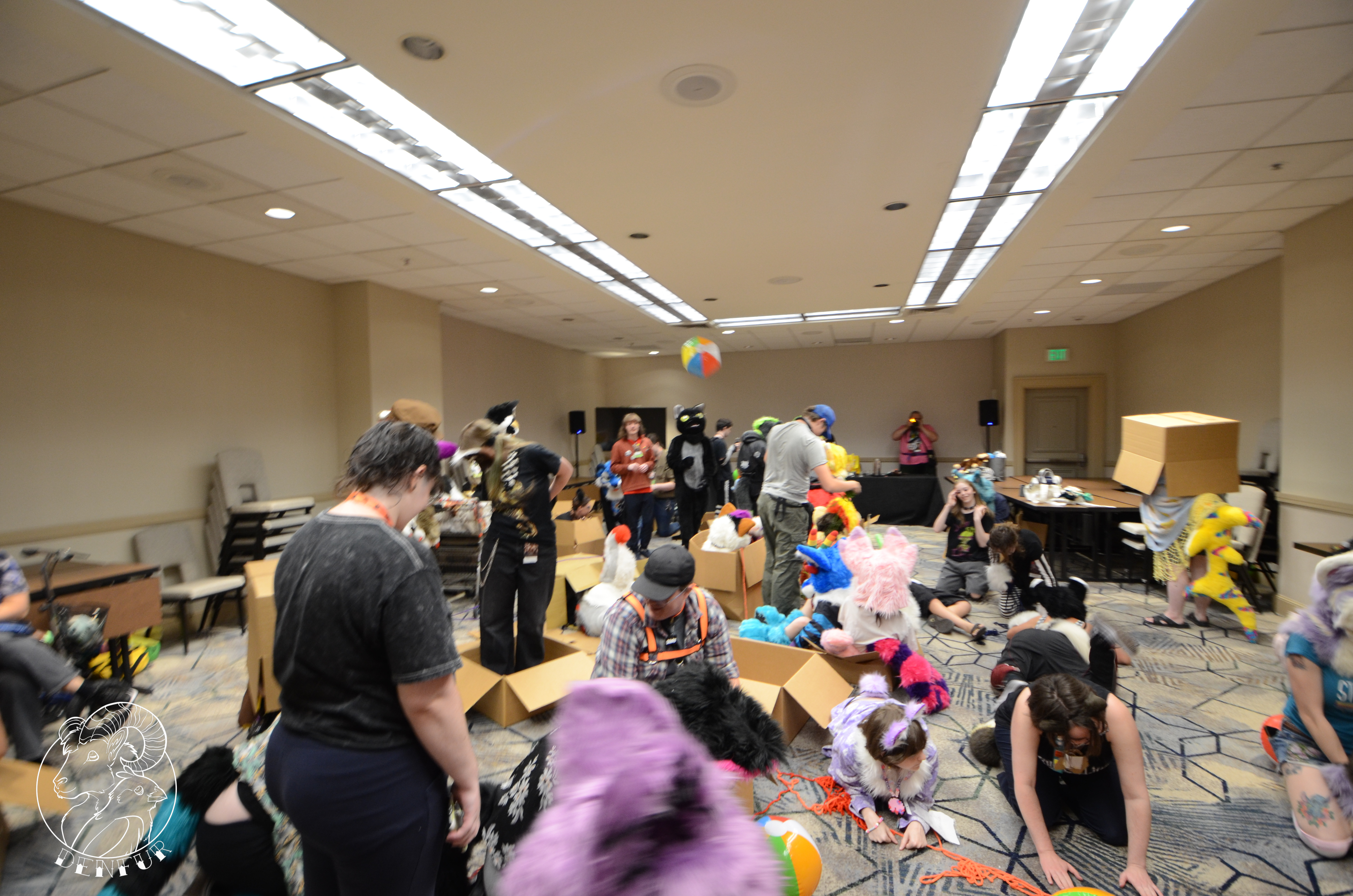 2026 - Feline Playtime Panel
