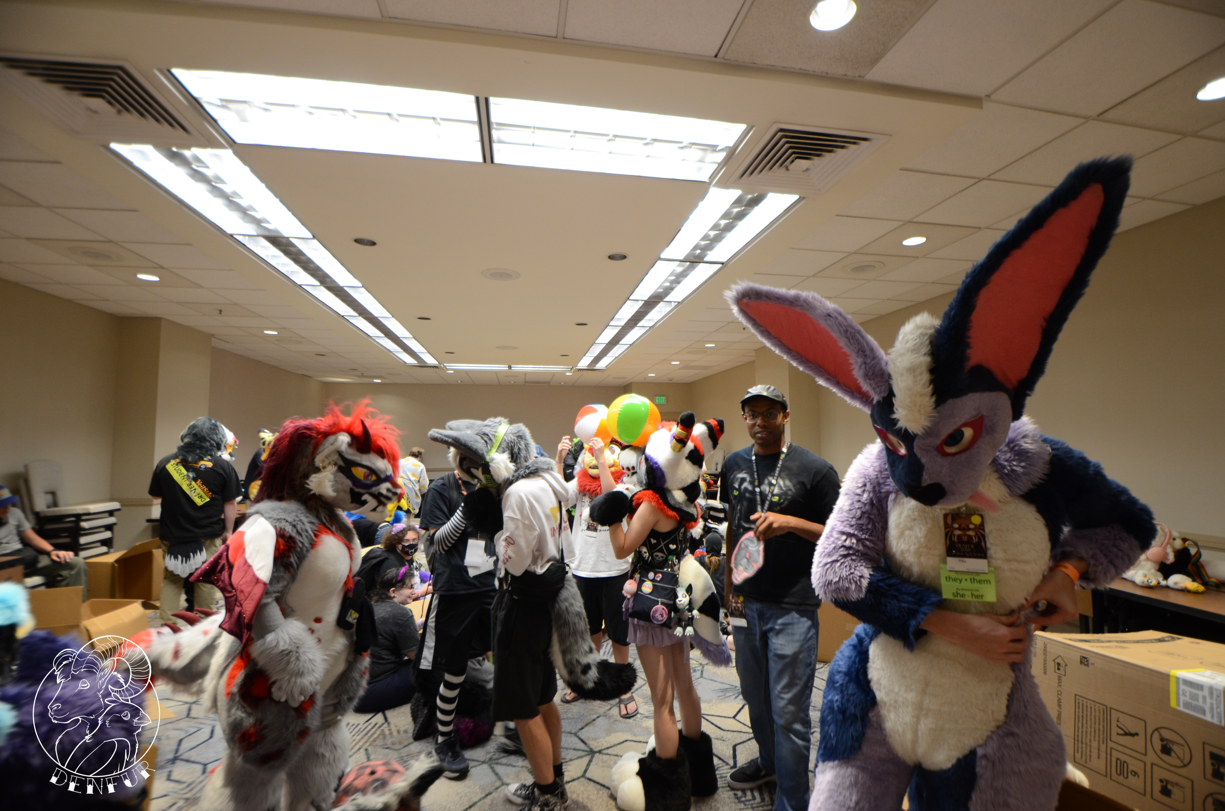 2026 - Feline Playtime Panel