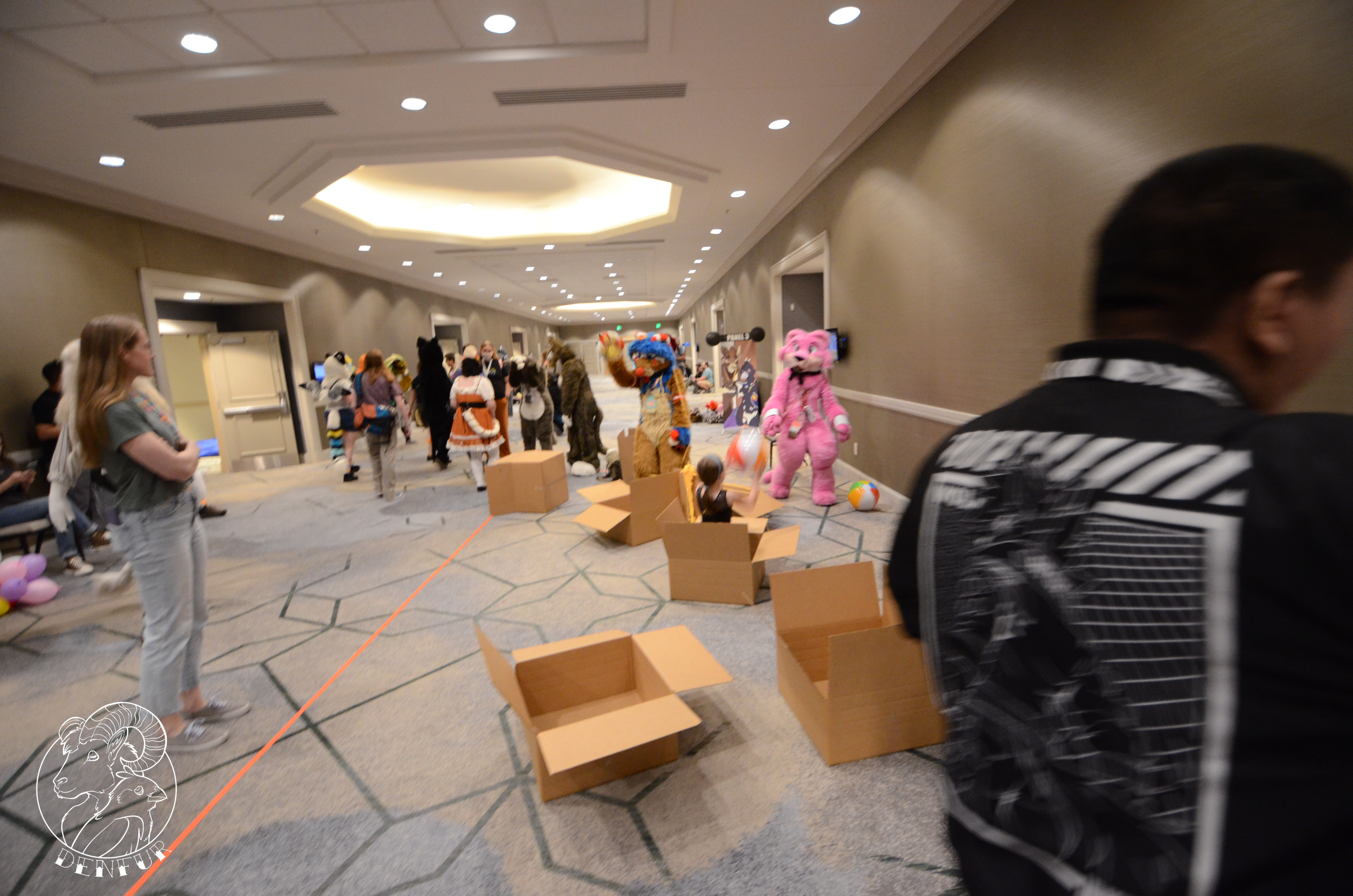 2026 - Feline Playtime Panel