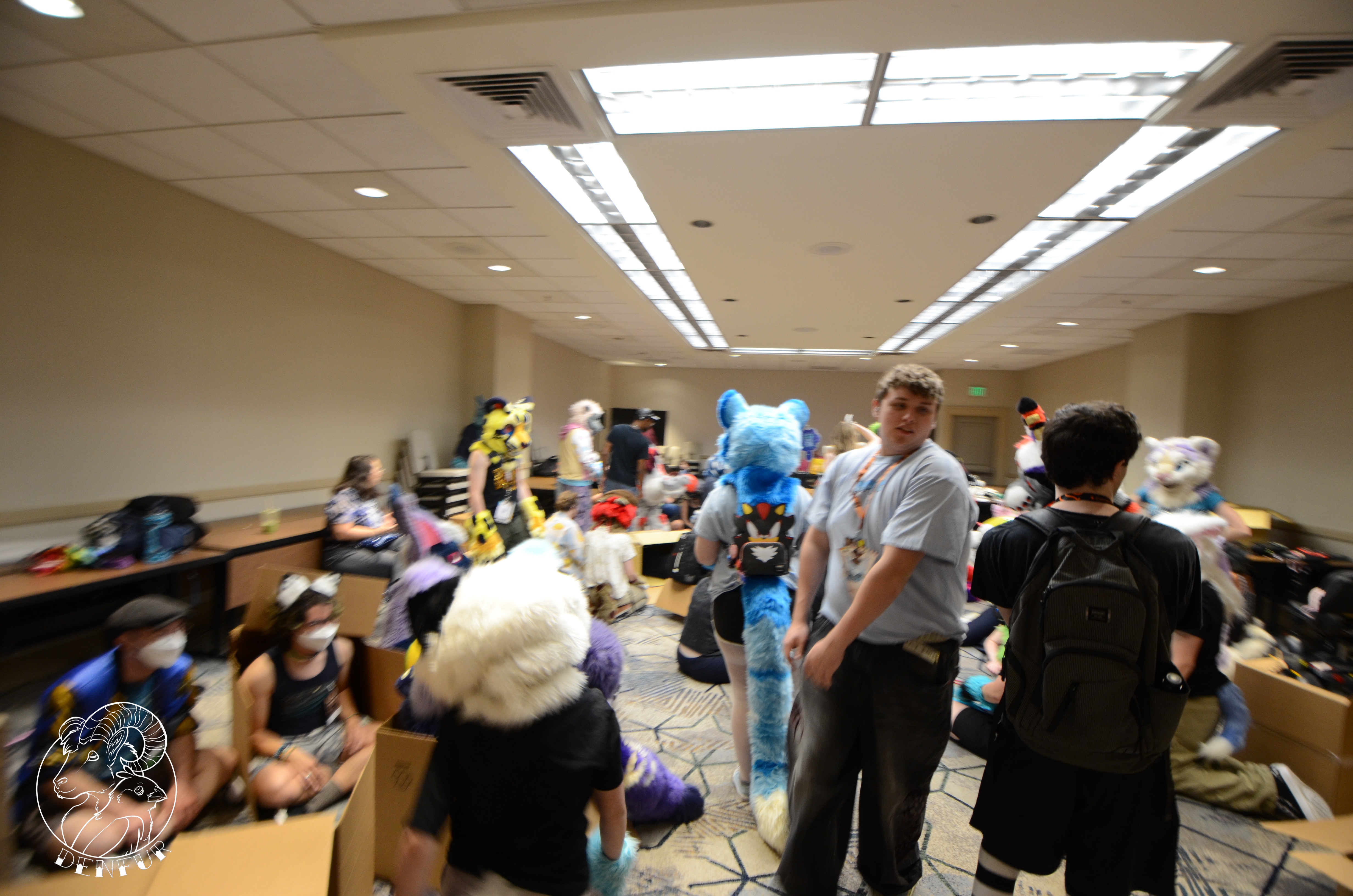 2026 - Feline Playtime Panel
