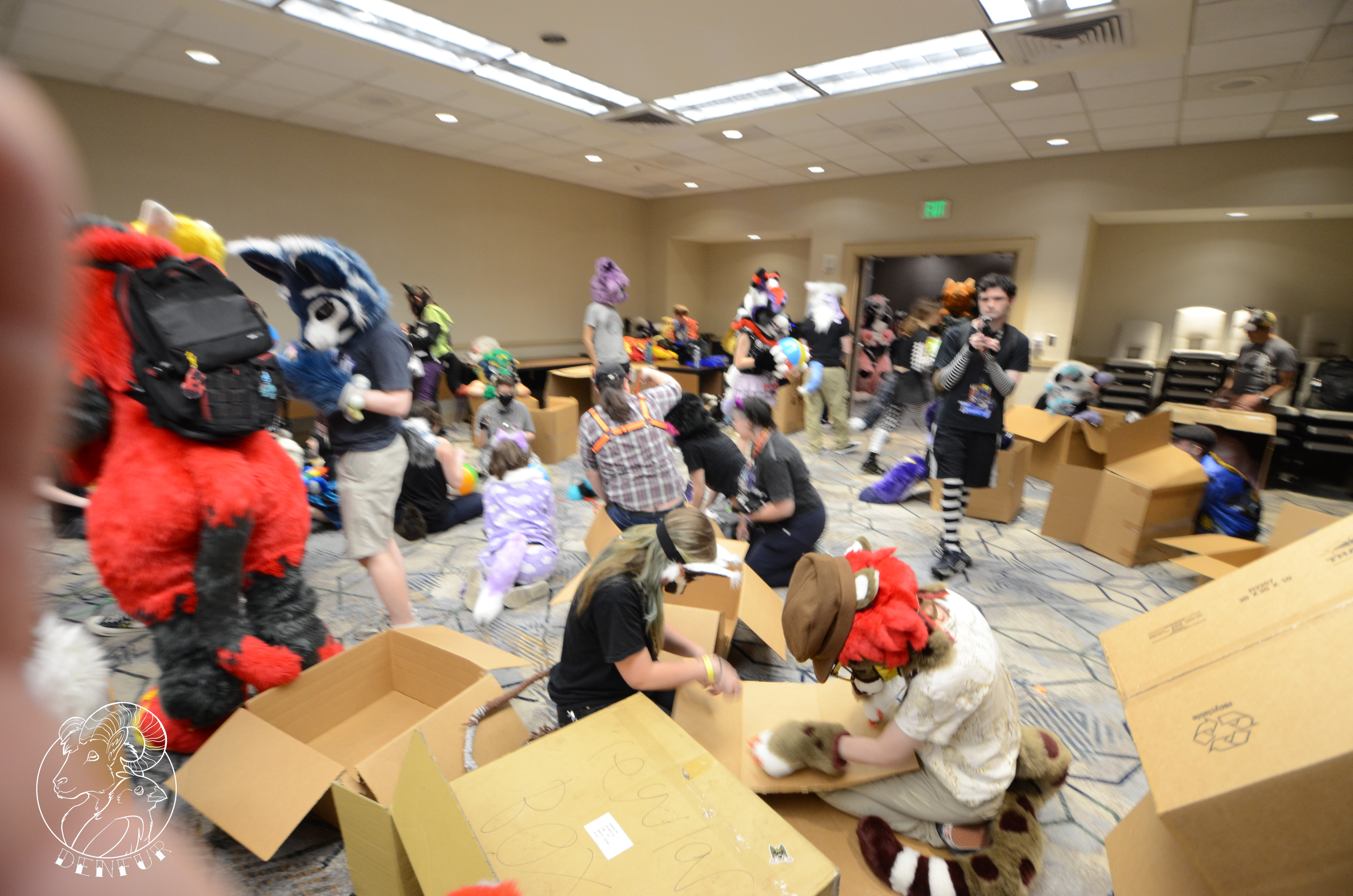 2026 - Feline Playtime Panel