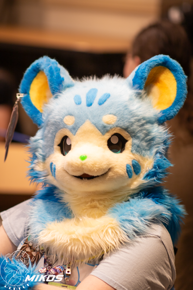 2026 - Feline Playtime Panel