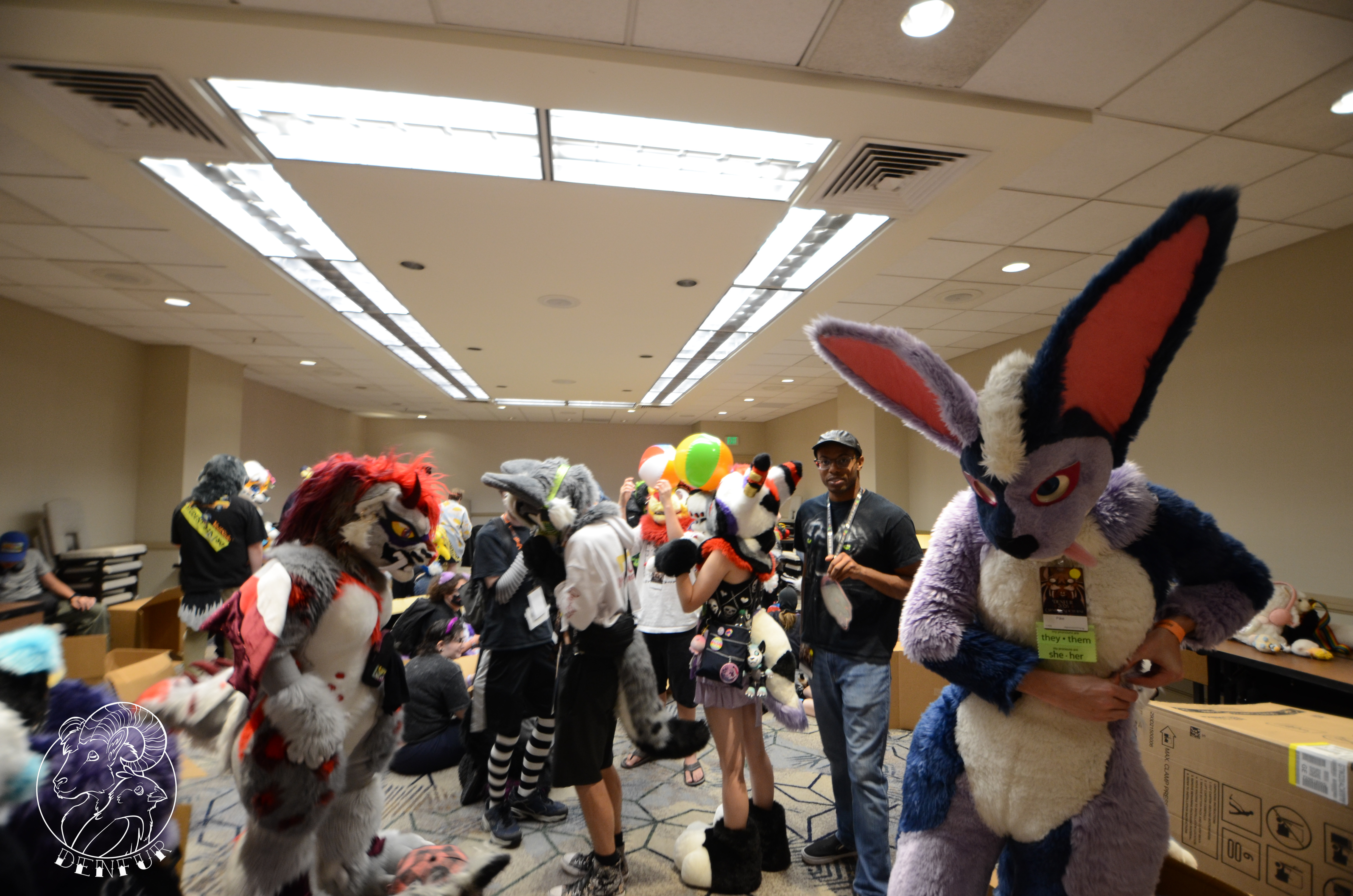 2026 - Feline Playtime Panel