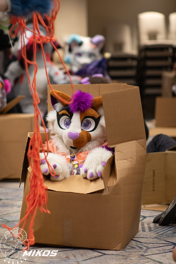 2026 - Feline Playtime Panel