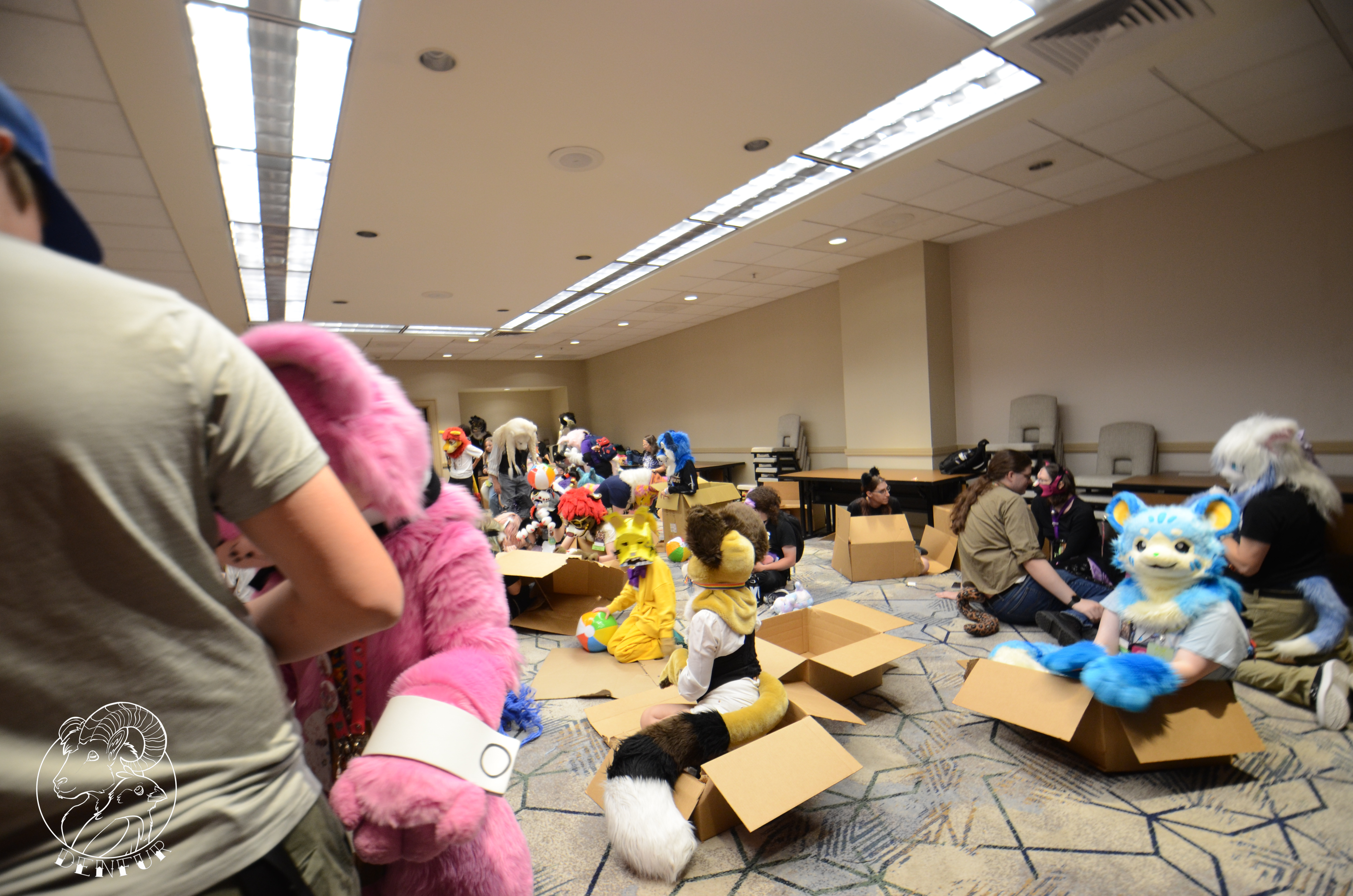 2026 - Feline Playtime Panel